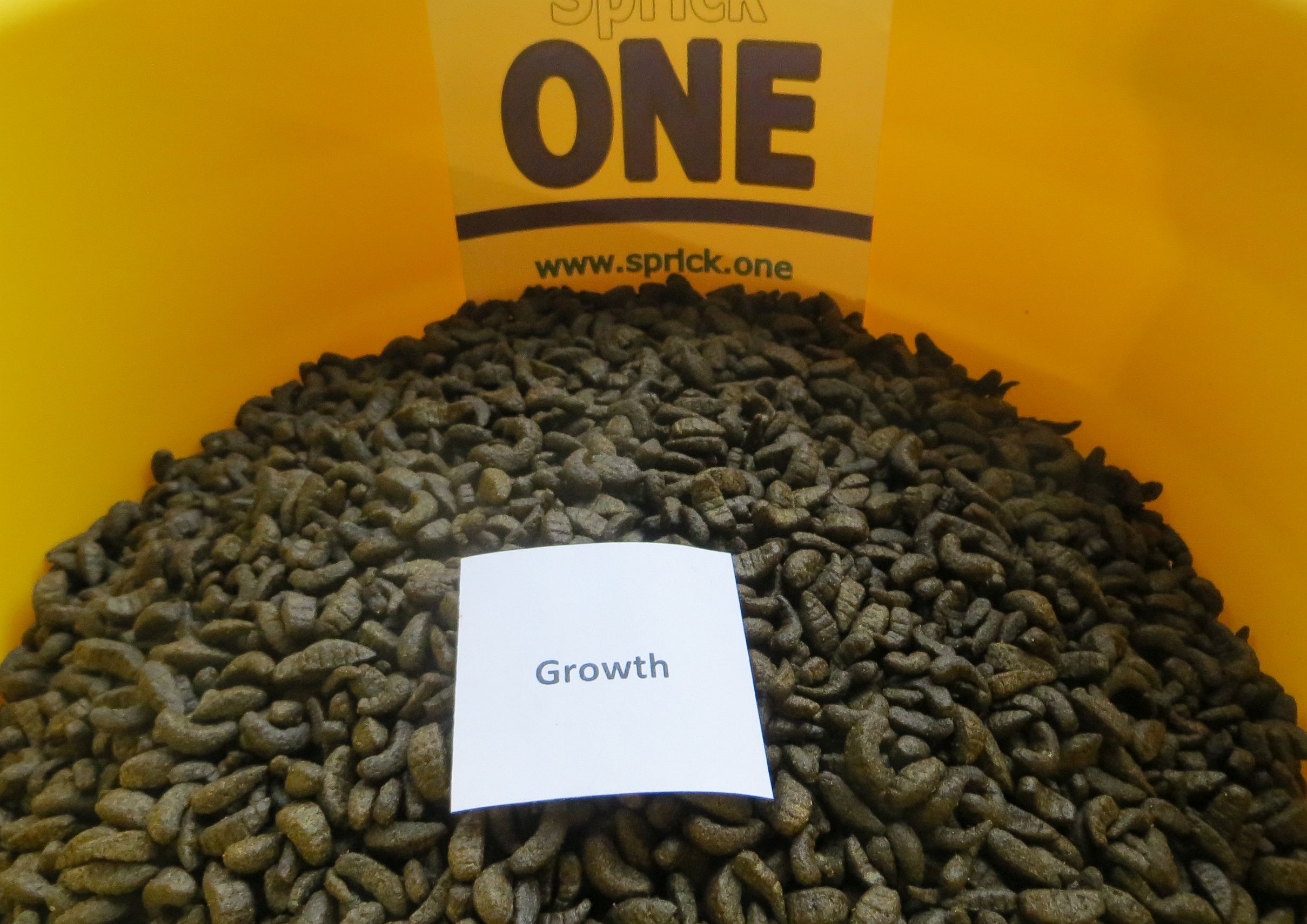 KoiNishi Growth Futter 1 kg KoiNishi Growth Futter 1 kg