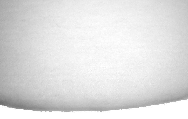 Filtervlies 40 cm breit , 14 mm stark Filtervlies 40 cm breit , 14 mm stark